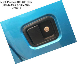 Mack Pinnacle CXU613 Door Handle for a 2013 MACK CXU613