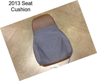 2013 Seat Cushion