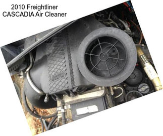 2010 Freightliner CASCADIA Air Cleaner