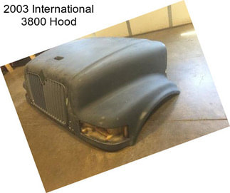 2003 International 3800 Hood