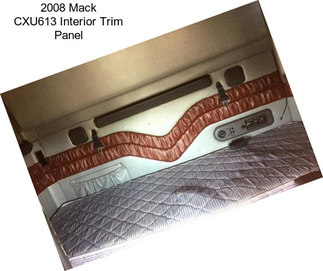 2008 Mack CXU613 Interior Trim Panel