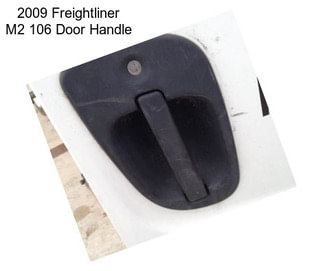 2009 Freightliner M2 106 Door Handle