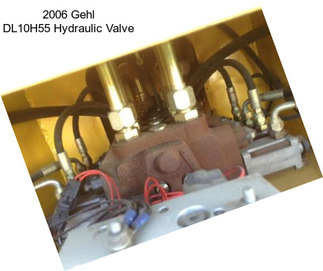 2006 Gehl DL10H55 Hydraulic Valve