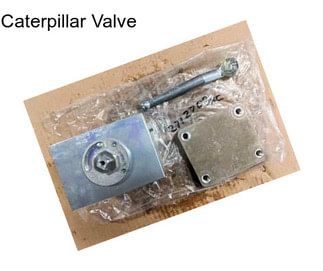 Caterpillar Valve