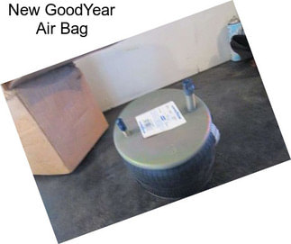 New GoodYear Air Bag