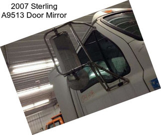 2007 Sterling A9513 Door Mirror