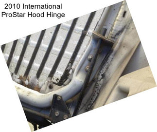 2010 International ProStar Hood Hinge