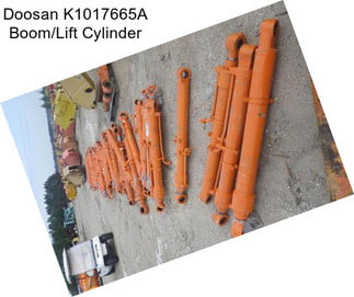 Doosan K1017665A Boom/Lift Cylinder