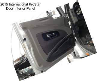 2015 International ProStar Door Interior Panel