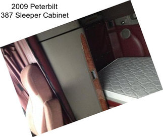 2009 Peterbilt 387 Sleeper Cabinet