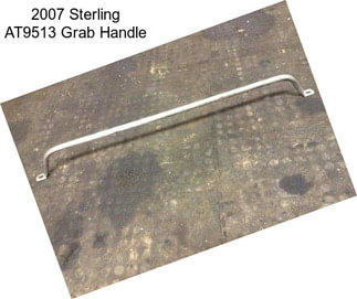 2007 Sterling AT9513 Grab Handle