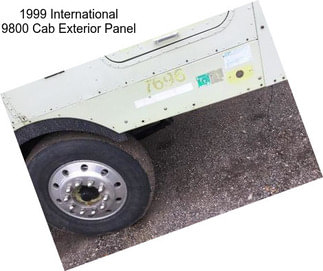 1999 International 9800 Cab Exterior Panel