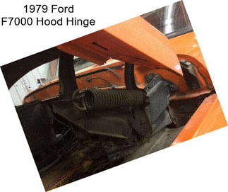 1979 Ford F7000 Hood Hinge