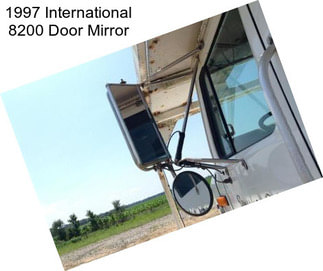 1997 International 8200 Door Mirror