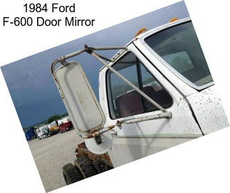 1984 Ford F-600 Door Mirror