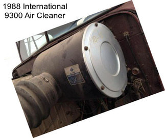 1988 International 9300 Air Cleaner