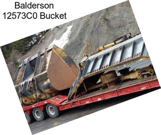 Balderson 12573C0 Bucket