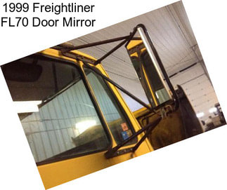 1999 Freightliner FL70 Door Mirror