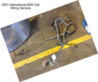 2001 International 9200 Cab Wiring Harness