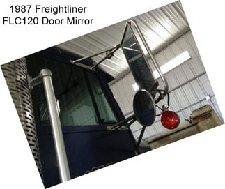 1987 Freightliner FLC120 Door Mirror