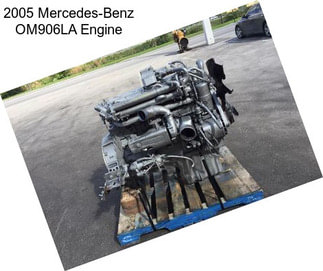 2005 Mercedes-Benz OM906LA Engine