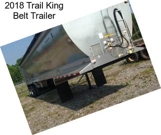 2018 Trail King Belt Trailer