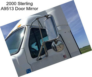 2000 Sterling A9513 Door Mirror