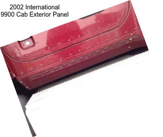 2002 International 9900 Cab Exterior Panel