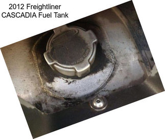 2012 Freightliner CASCADIA Fuel Tank