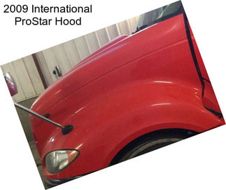 2009 International ProStar Hood