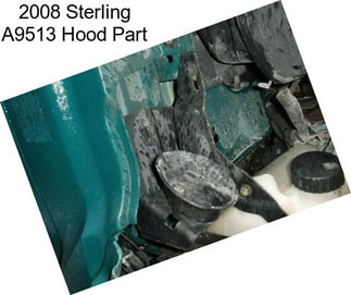 2008 Sterling A9513 Hood Part