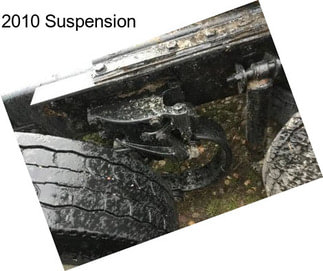 2010 Suspension