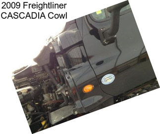 2009 Freightliner CASCADIA Cowl