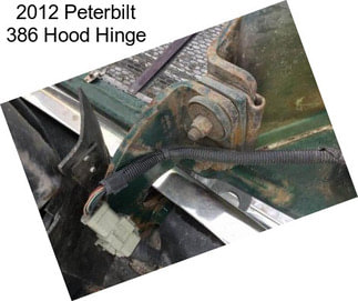 2012 Peterbilt 386 Hood Hinge