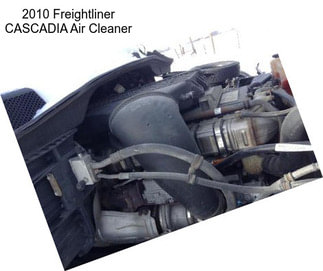 2010 Freightliner CASCADIA Air Cleaner