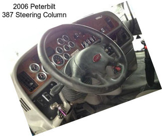 2006 Peterbilt 387 Steering Column
