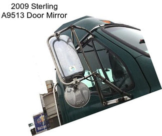 2009 Sterling A9513 Door Mirror