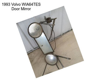 1993 Volvo WIA64TES Door Mirror