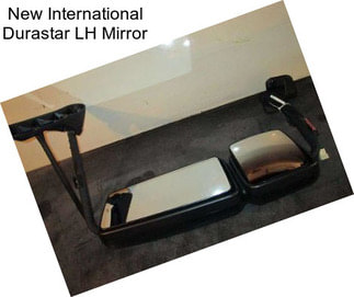 New International Durastar LH Mirror