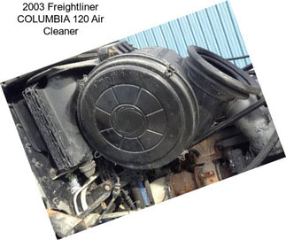 2003 Freightliner COLUMBIA 120 Air Cleaner