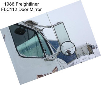 1986 Freightliner FLC112 Door Mirror