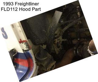 1993 Freightliner FLD112 Hood Part