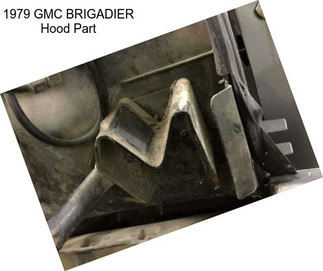 1979 GMC BRIGADIER Hood Part