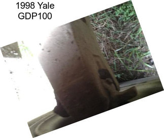 1998 Yale GDP100