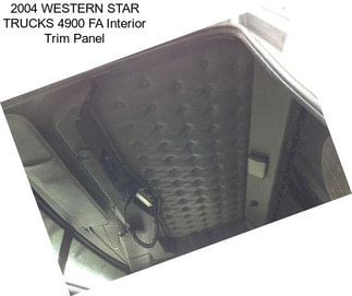 2004 WESTERN STAR TRUCKS 4900 FA Interior Trim Panel