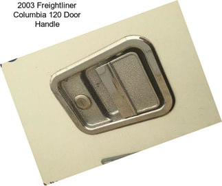 2003 Freightliner Columbia 120 Door Handle