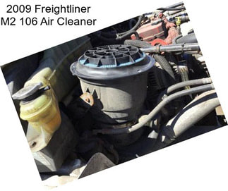 2009 Freightliner M2 106 Air Cleaner