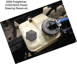 2009 Freightliner CASCADIA Power Steering Reservoir