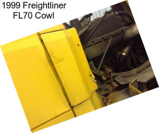 1999 Freightliner FL70 Cowl