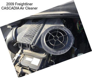 2009 Freightliner CASCADIA Air Cleaner